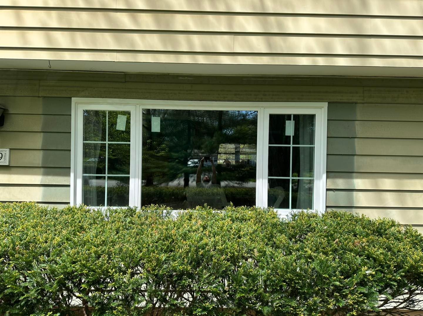 A large, white-framed window with three panes on a beige house, obscured by green bushes.