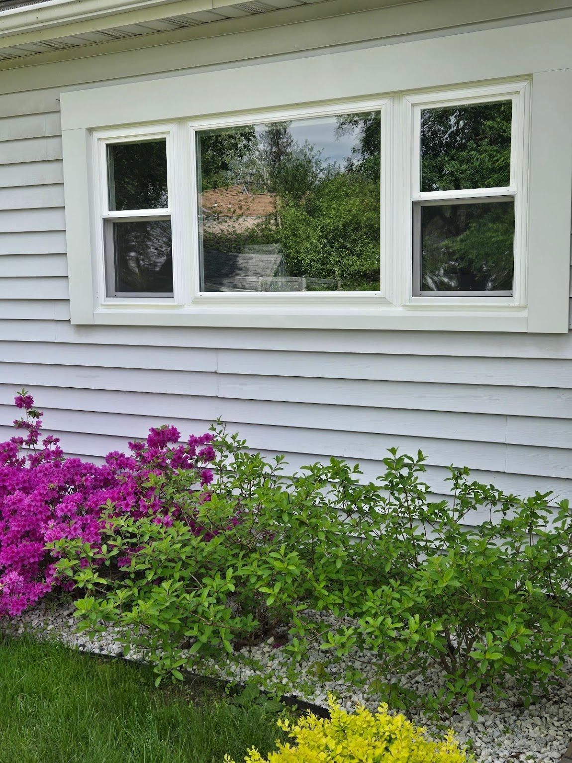 White house with a window reflecting trees, framed by white trim, with purple and green bushes in front.