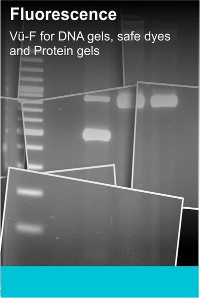 Pop Bio Imaging For Fluorescent Gels And Chemiluminescent Blot Imaging