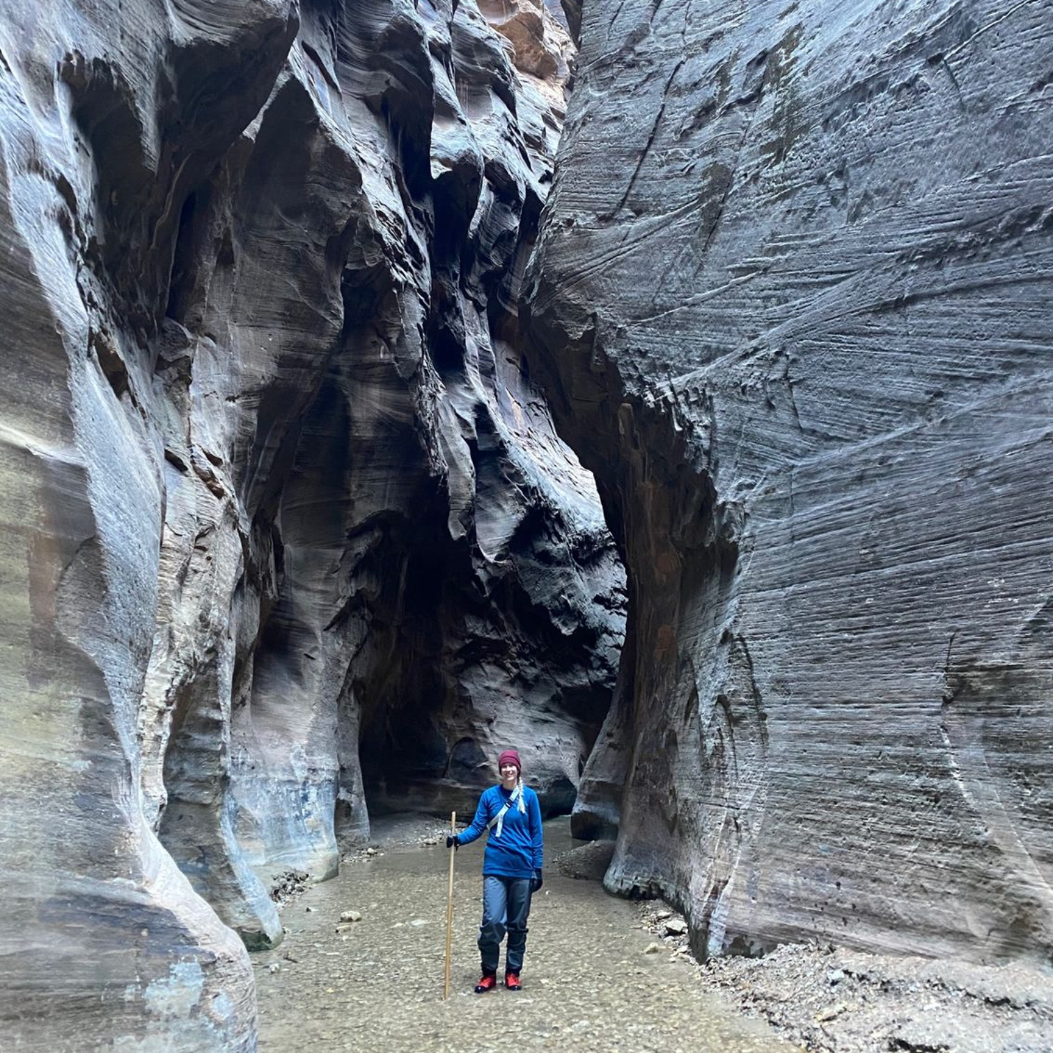 The Narrows Zion National Park