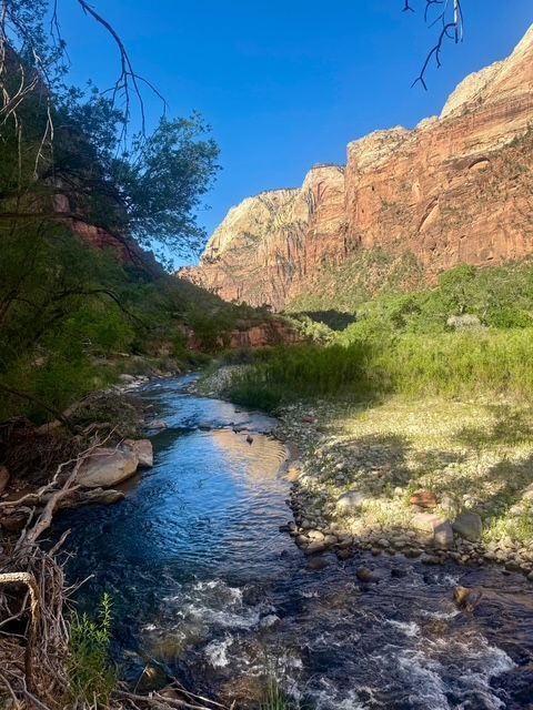 Zion National Park Views