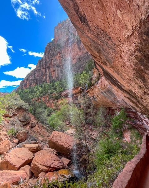 Half Day Hiking Zion National Park Tour