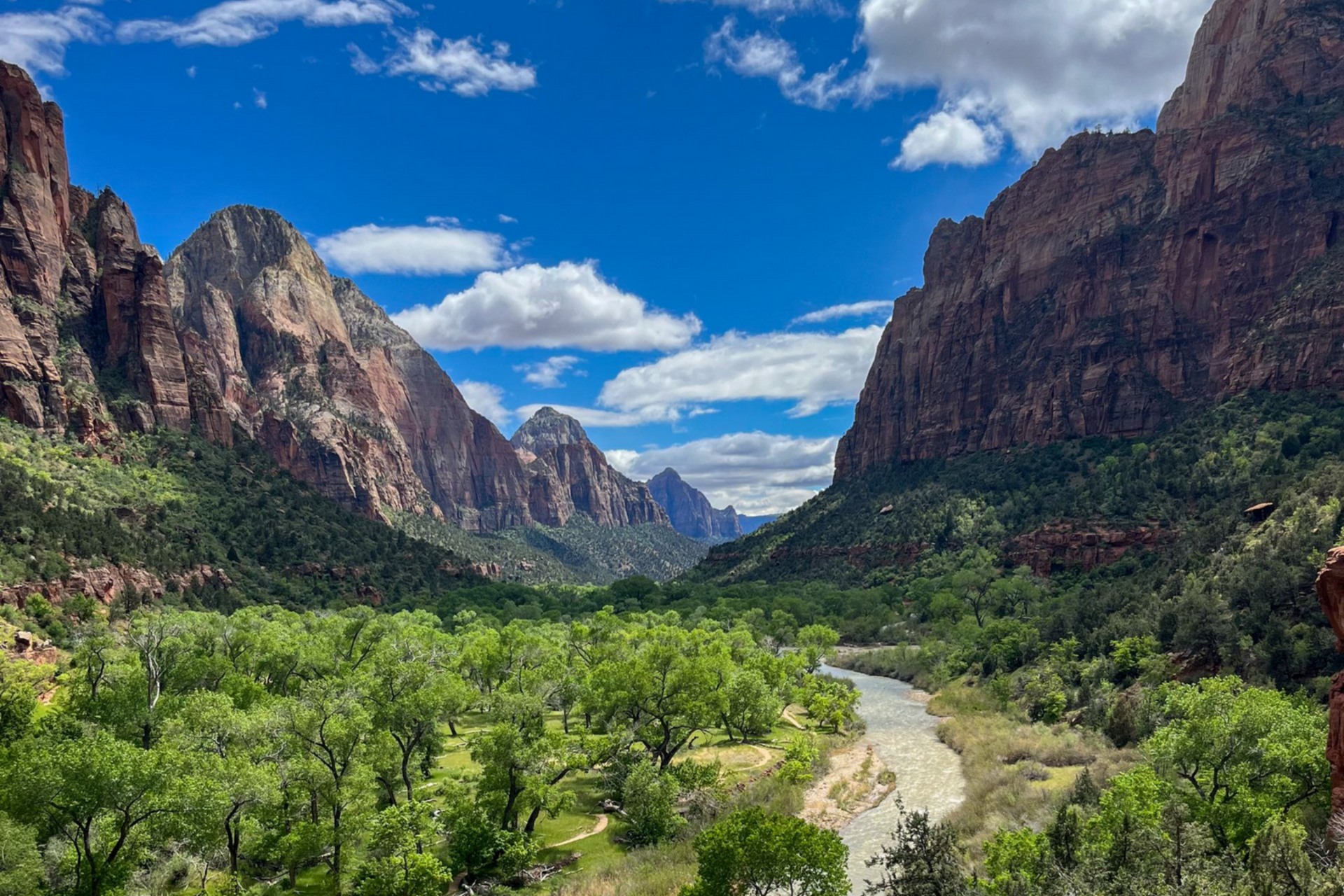 Zion Half Day Hiking Tour Guided Zion National Park