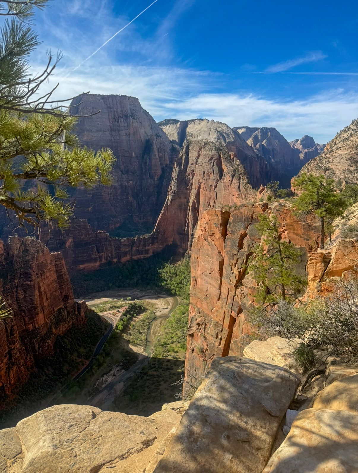 Zion National Park Tours