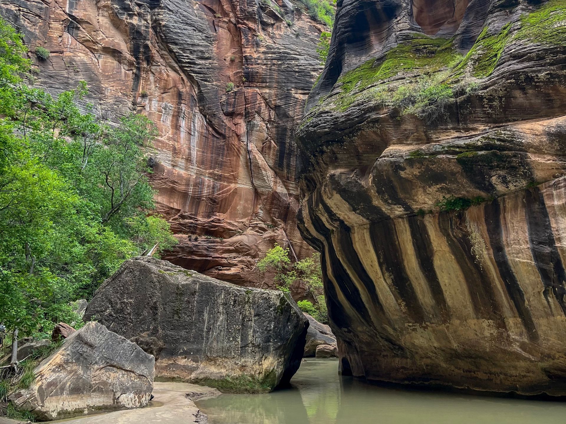 The Narrows Tour Zion National Park