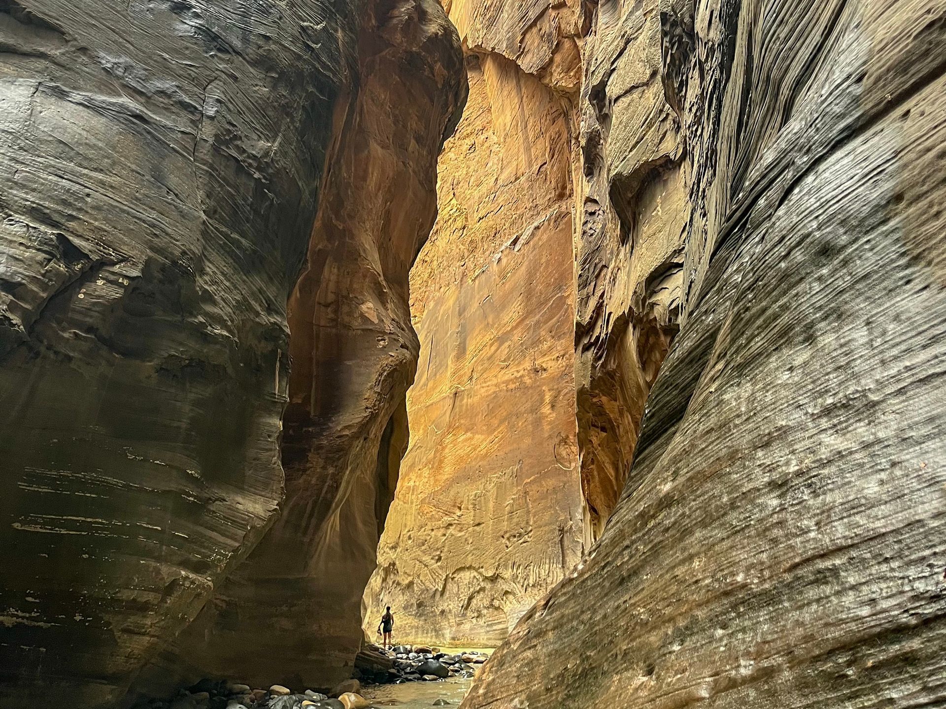 The Narrows Guided Hike Zion National Park
