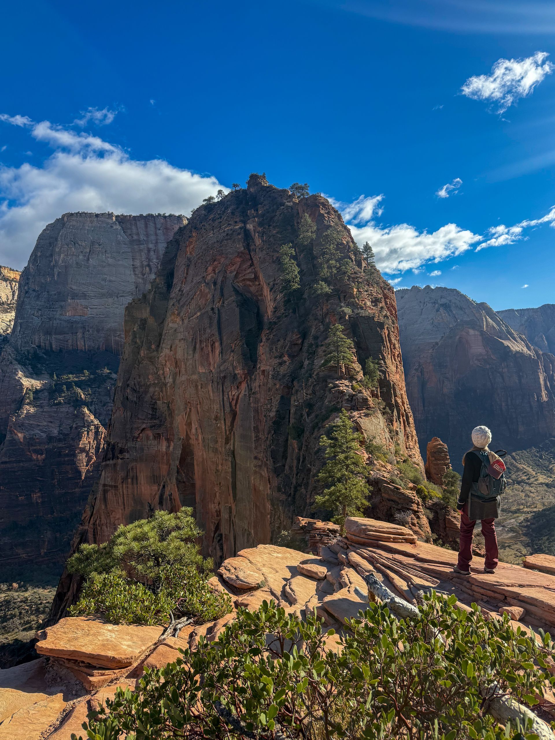 Hiker looking at the spine of Angels Landing