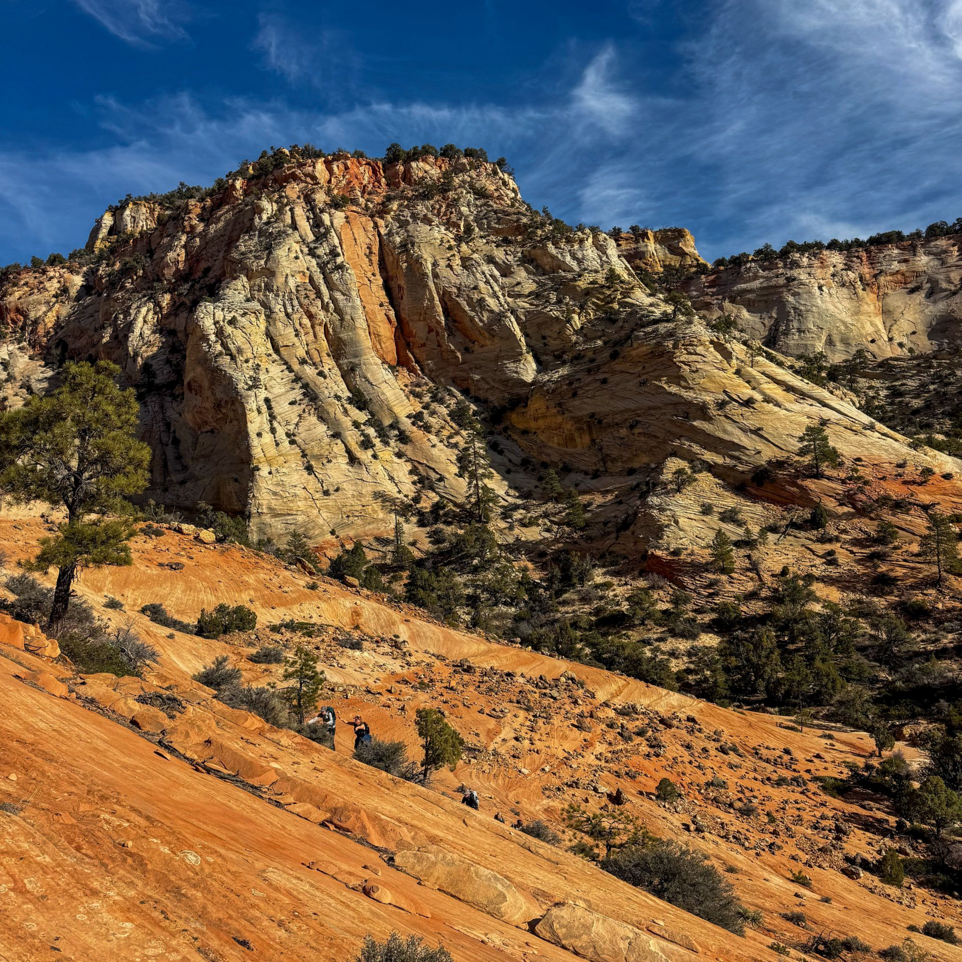 East Zion Slick Rock