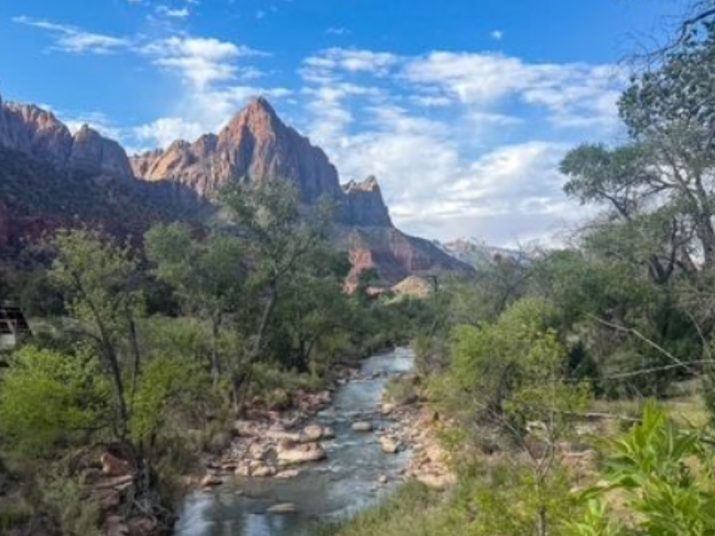 Half Day Hiking TourZion National Park