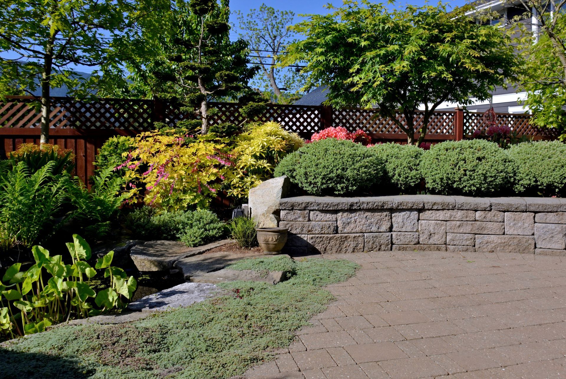 Paved patio with shrubs, a maple tree, and a wooden privacy fence.