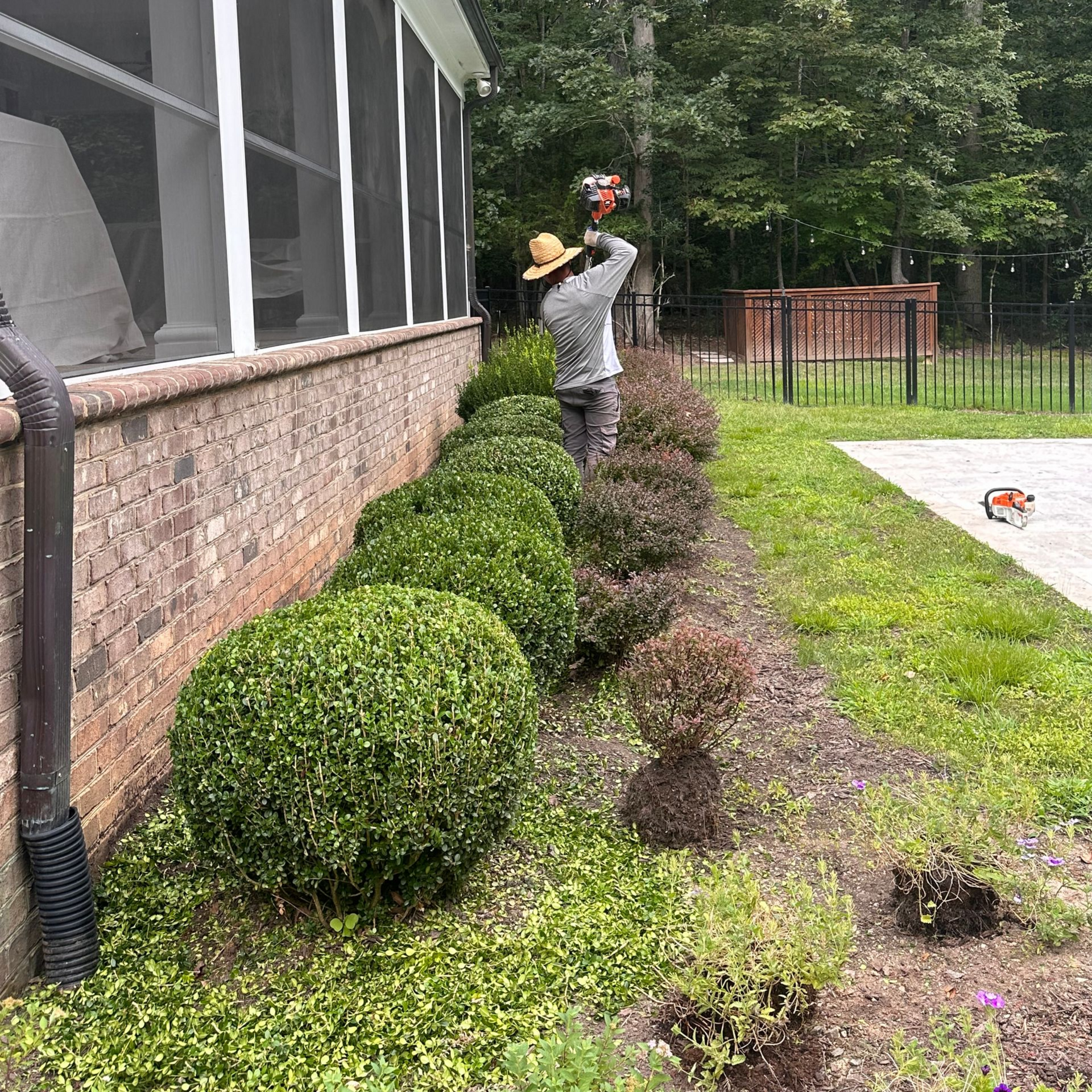 Person trimming shrubs near a brick building. Green and brown bushes, green grass, and a cat on the patio.