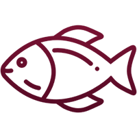 Icona-Pesce di lago Icona-Pesce di lago