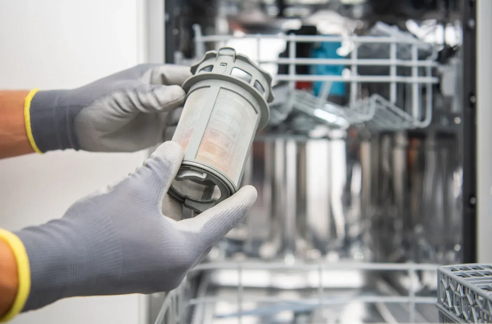 A person is holding a dishwasher filter in their hands.