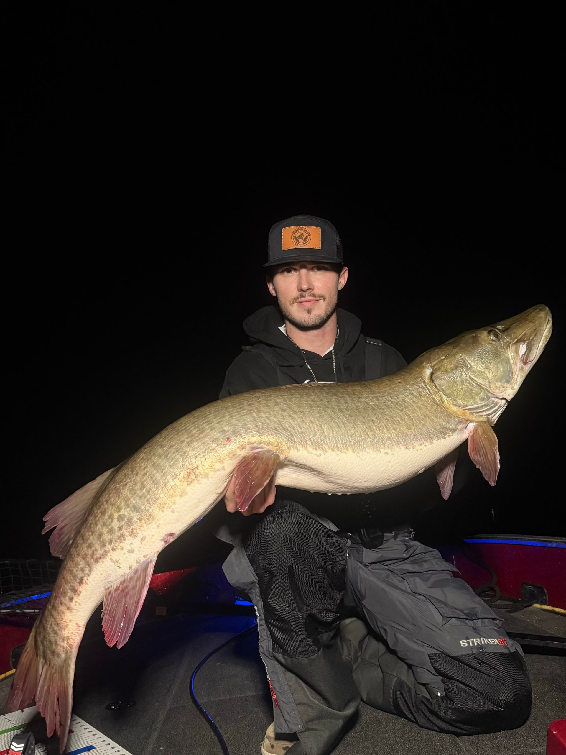 Man kneels, holding a large muskie fish in a boat at night. The fish is long and tan with red fins.