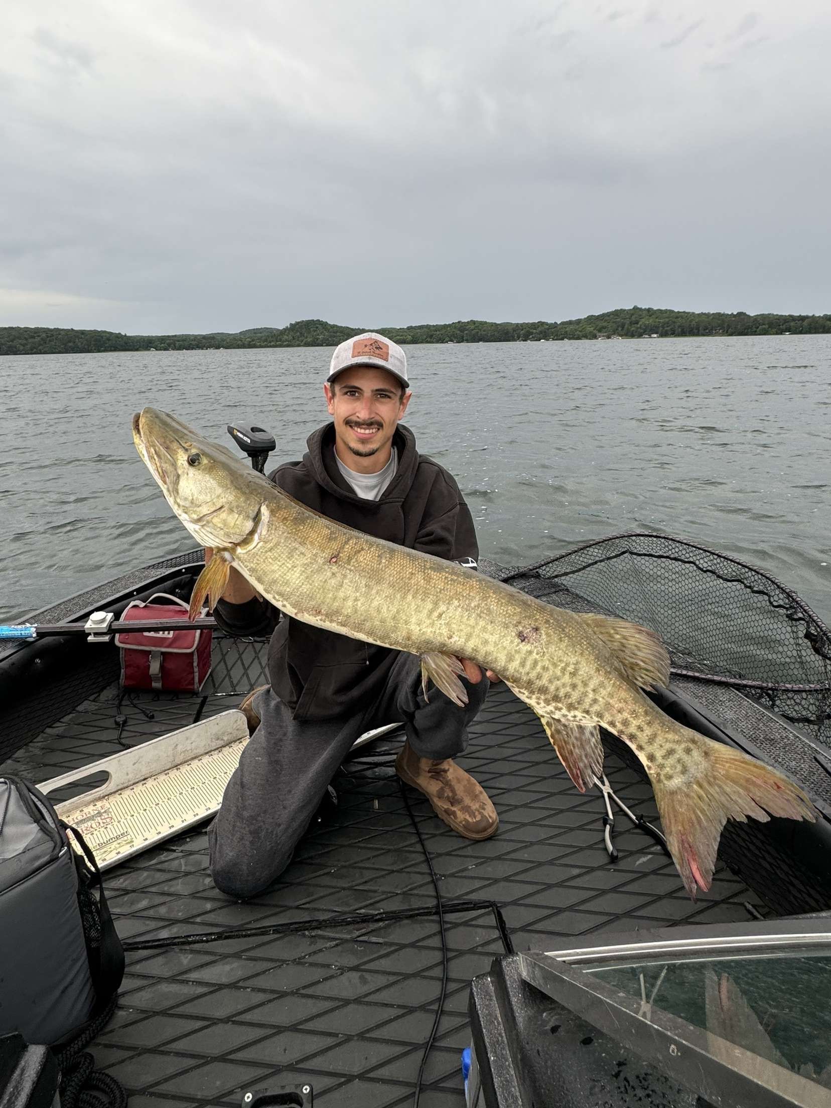 Man kneels in boat, holding large muskie fish. Water and shoreline in background. Overcast day.