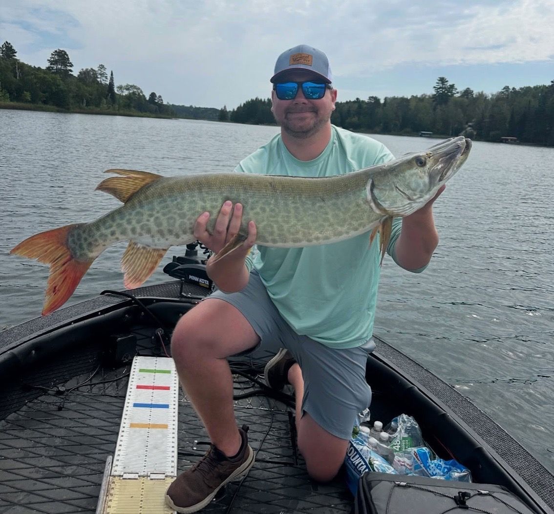 Man kneeling in a boat, holding a large muskie fish with orange tail, on a lake.