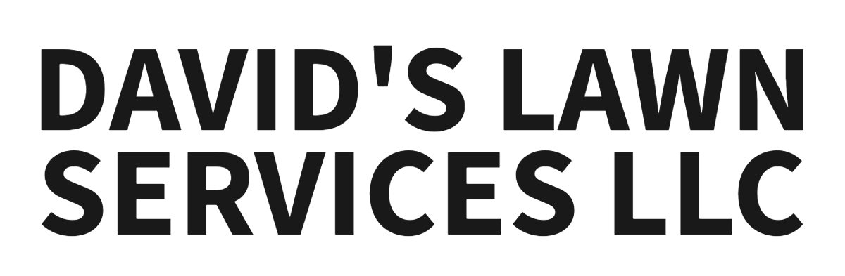David's Lawn Services LLC