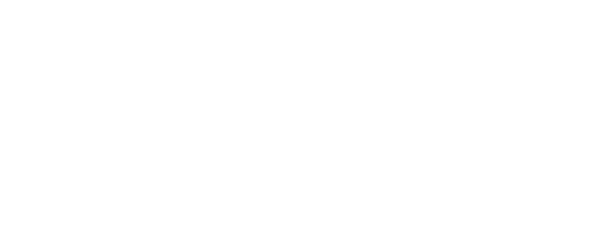 Minnesota Careers in Automotive Repair and Service(MNCARS), Twin Cities, MN