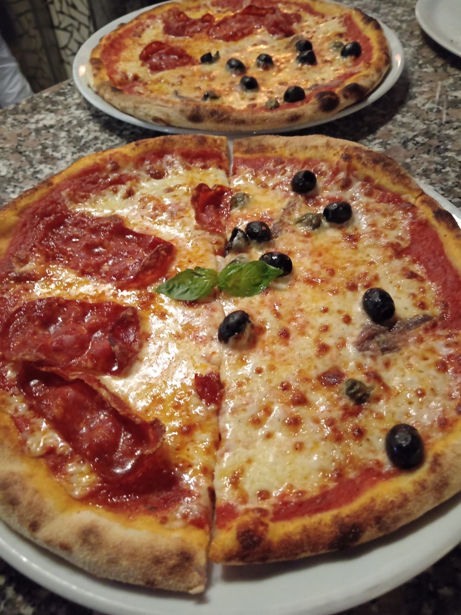 Accogliente bar con pianoforte, posti a sedere, piante e ampie finestre che lasciano entrare luce naturale.