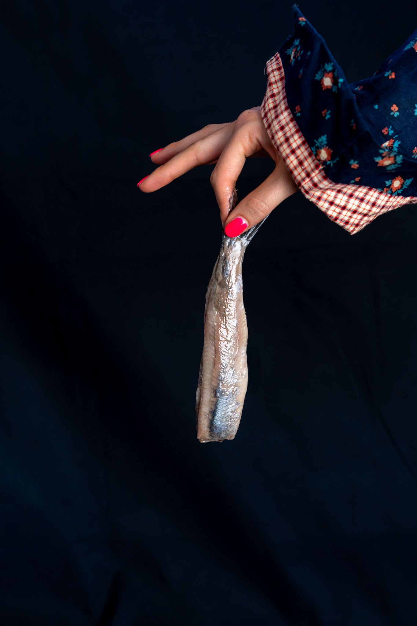Hollandse Nieuwe aan het staartje Hollandse Nieuwe haring aan het staartje vastgehouden door een vrouwenhand met rode nagellak en mouw met Spakenburgse kleding zichtbaar