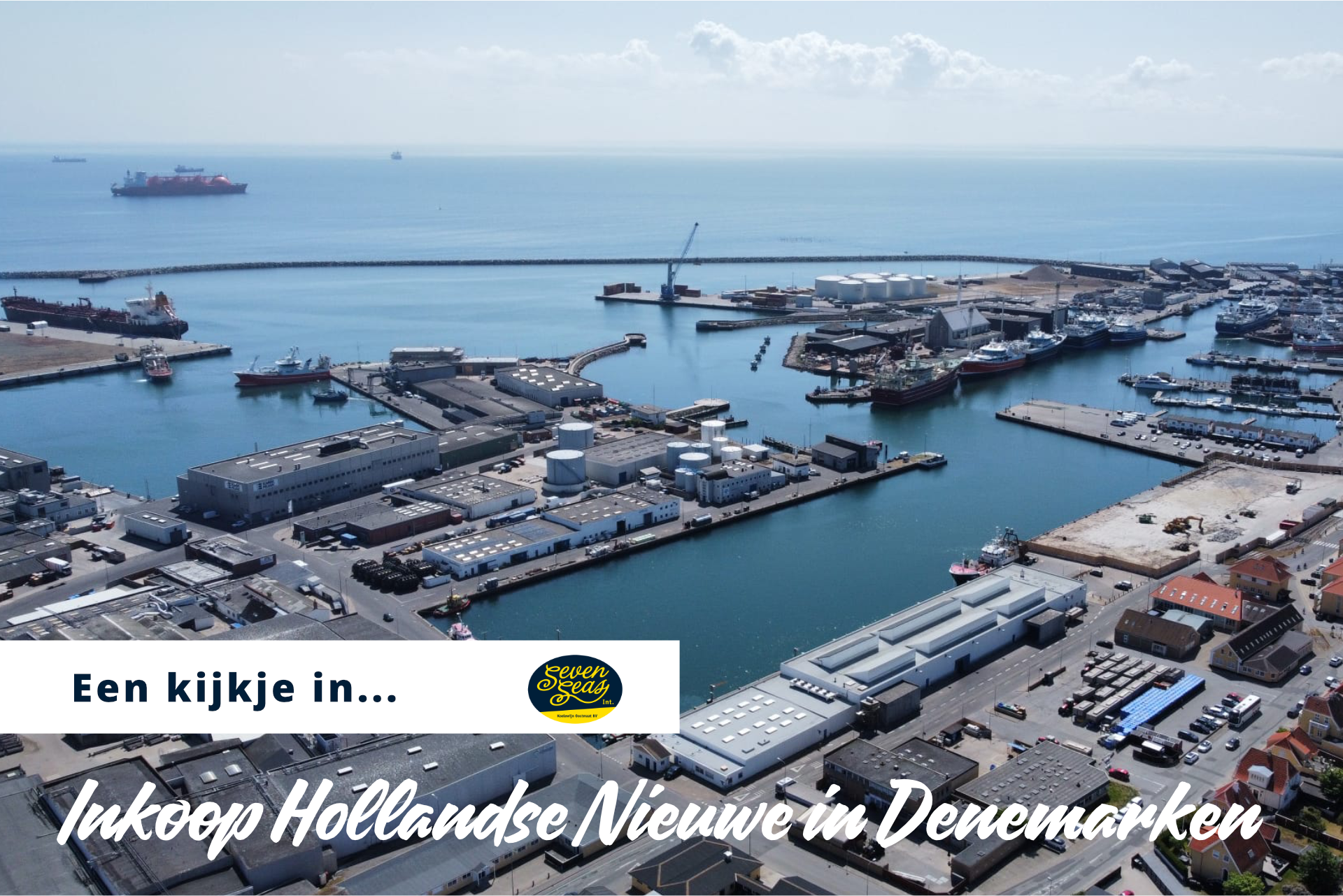 Inkoop haring Hollandse Nieuwe in Haven Skagen in Denemarken voor Seven Seas International