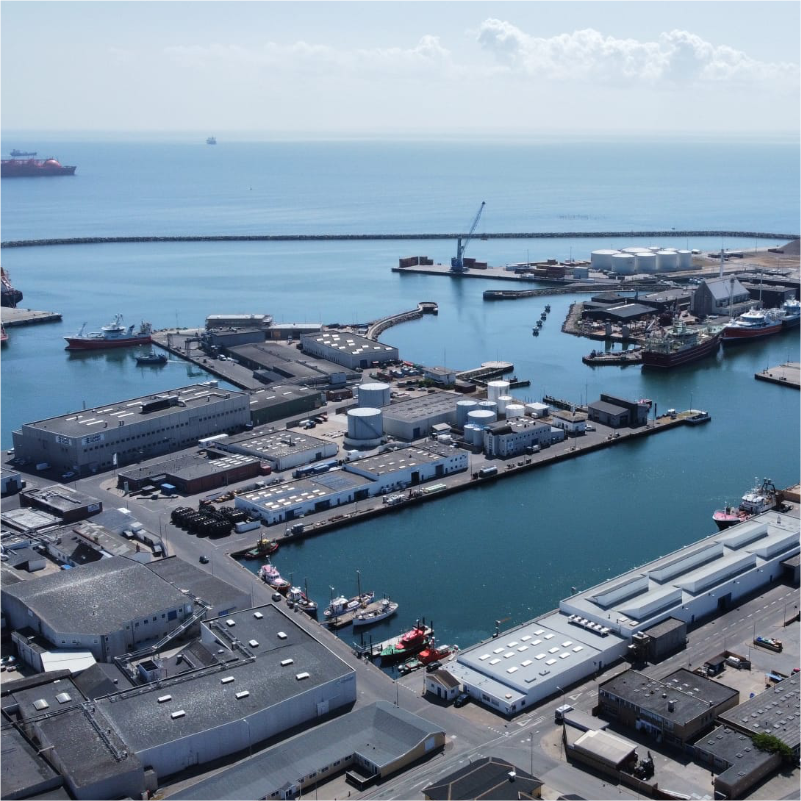 Skagen haven waar inkoop haring plaatsvindt voor Seven Seas International