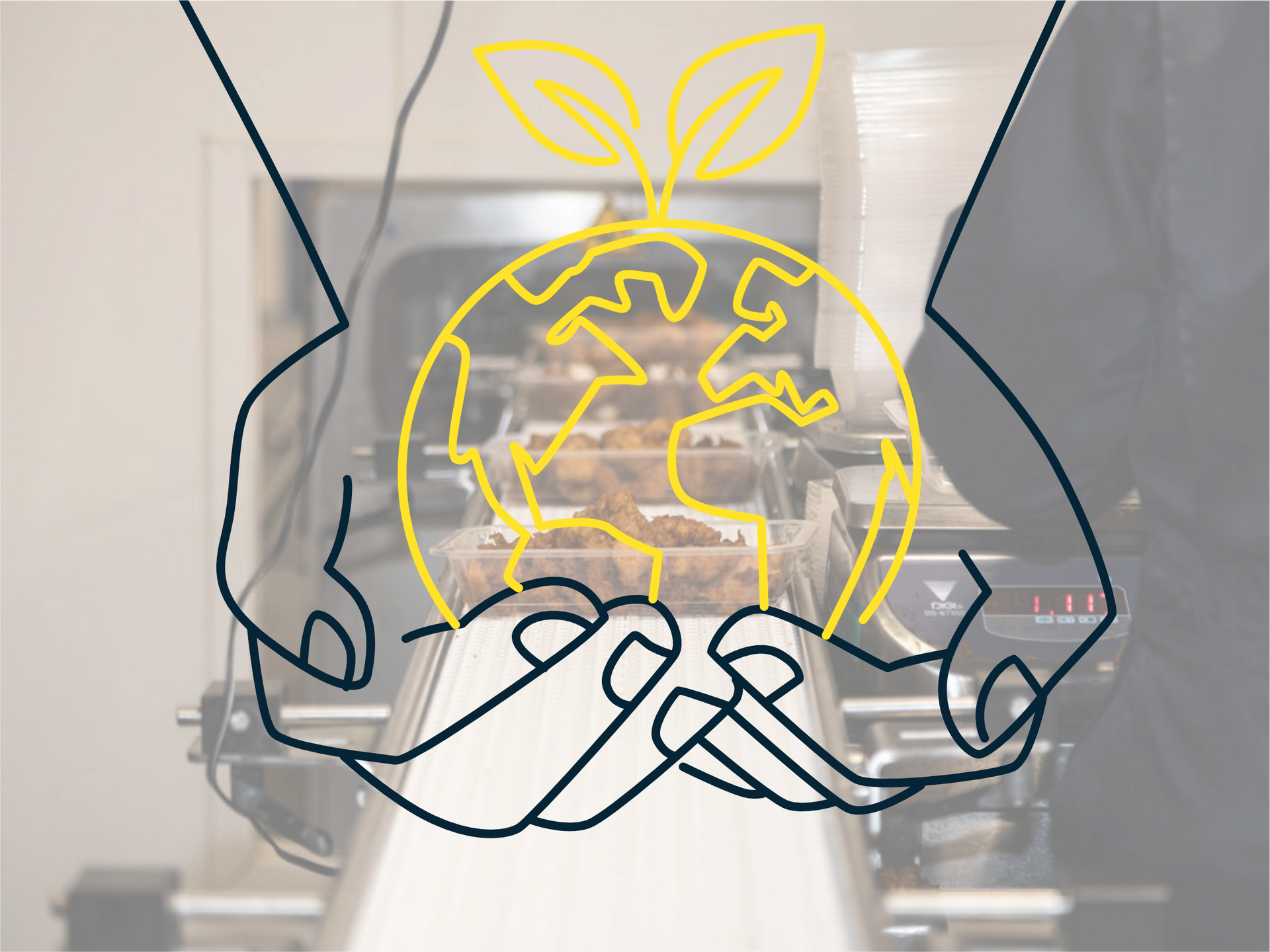 Productielijn Hollandse Nieuwe Hollandse Nieuwe wordt verpakt op lijn in retail verpakking met ui