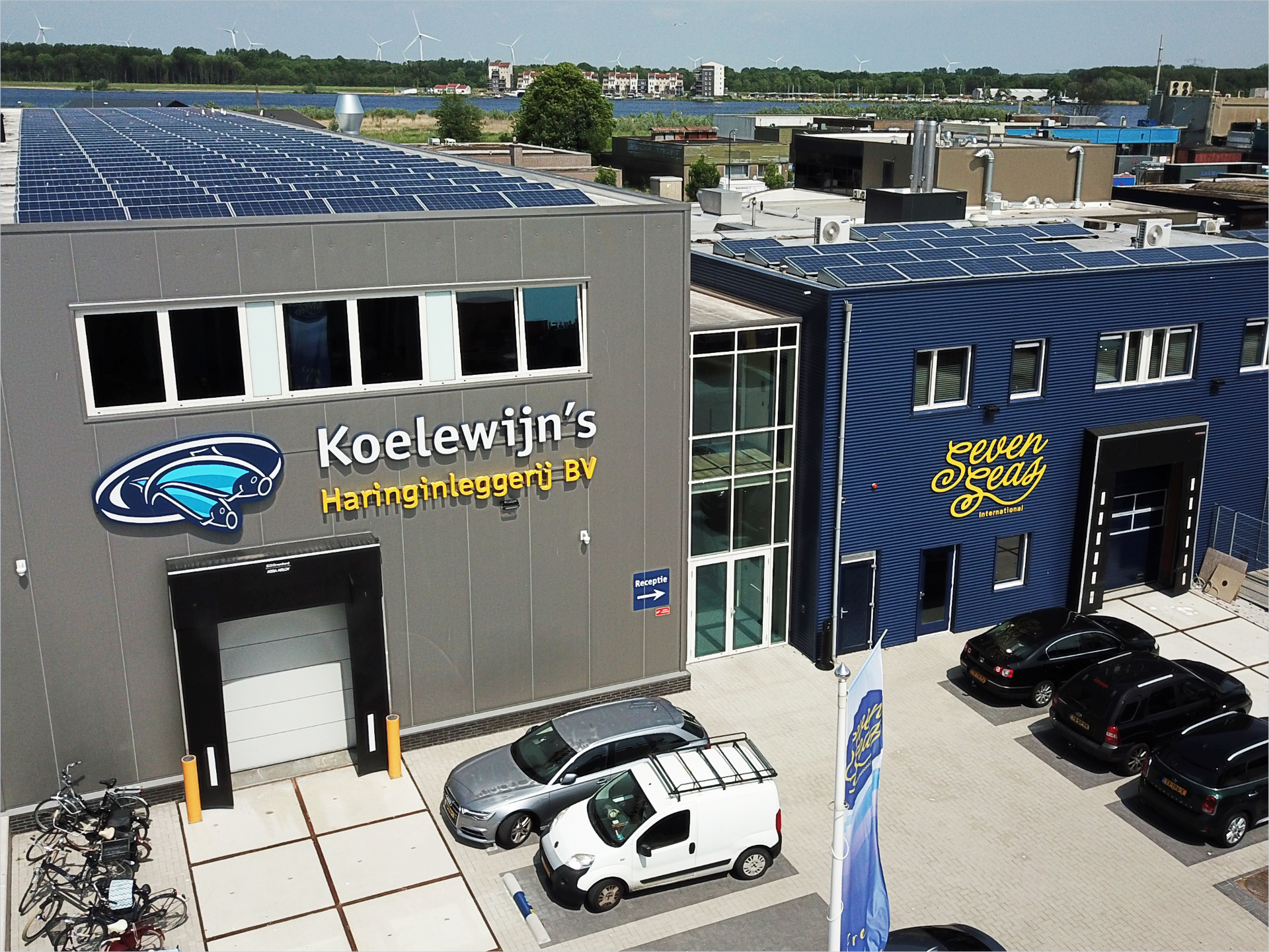 Productielijn Hollandse Nieuwe Hollandse Nieuwe wordt verpakt op lijn in retail verpakking met ui