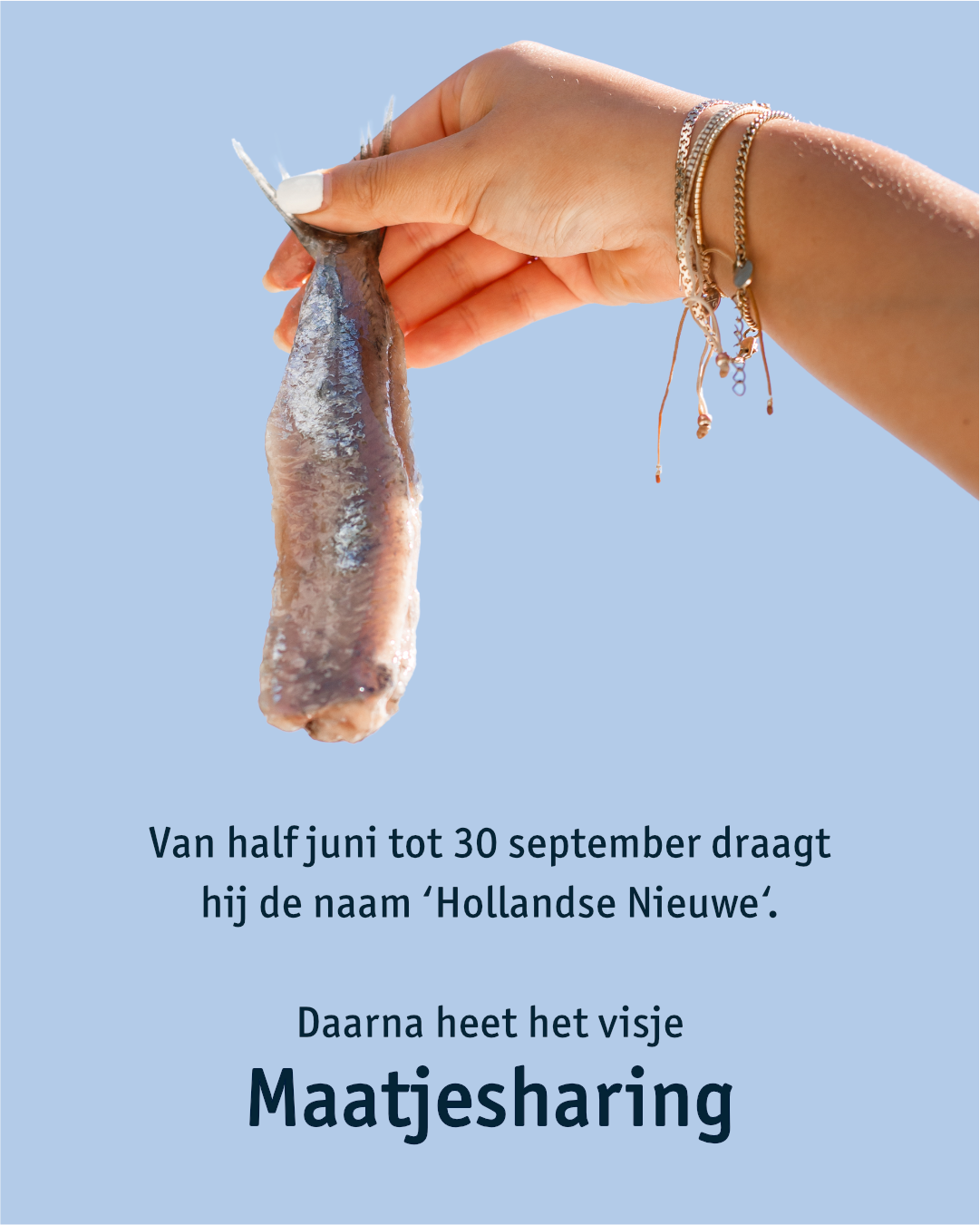 Hollandse Nieuwe is Maatjesharing vanaf 1 oktober Hollandse Nieuwe heet Maatjesharing na 30 september
