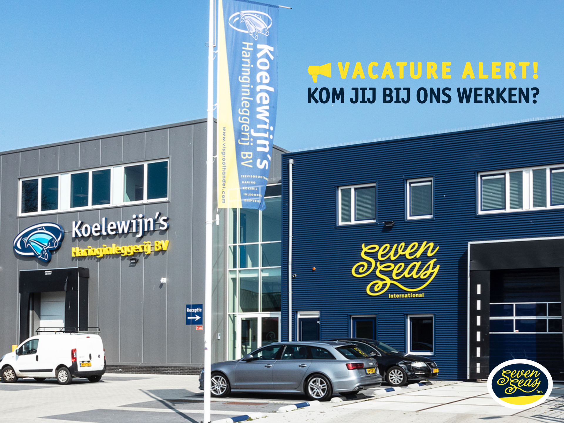 vacature alert, Sevenseas, marketing, sales
