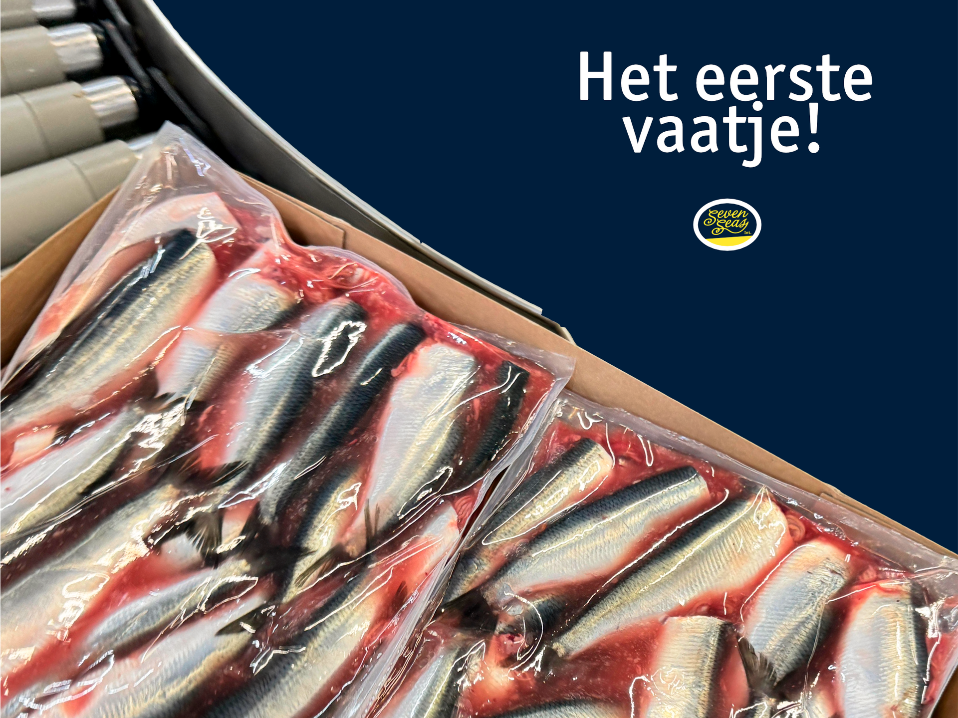 Hollandse Nieuwe met avocado op een meergranen cracker, met peper en citroen, recept