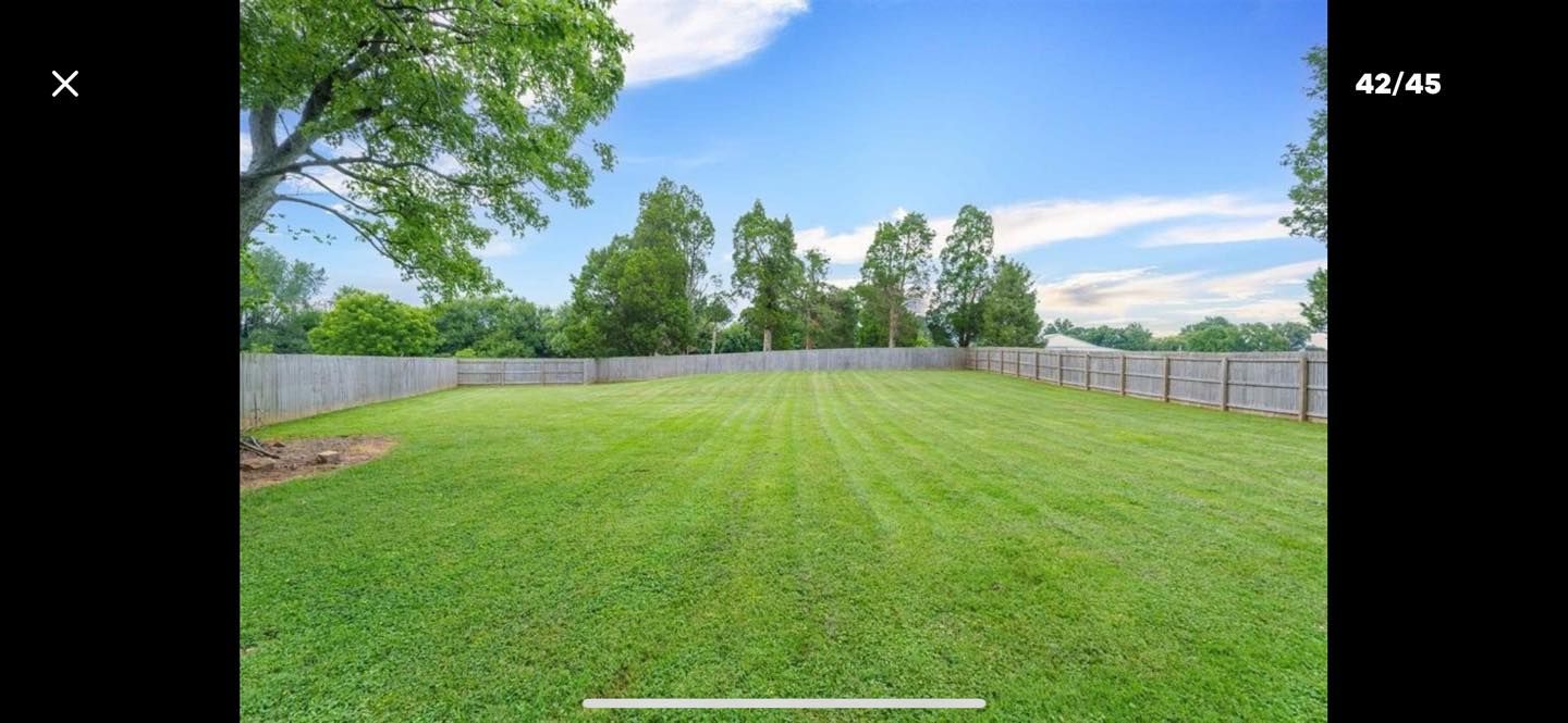 A grassy backyard enclosed by a wooden fence, with trees and a blue sky in the background.