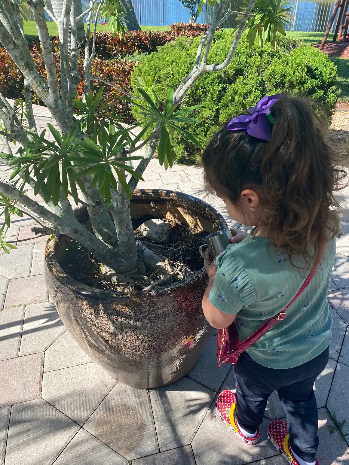 A little girl is standing next to a large potted plant.
