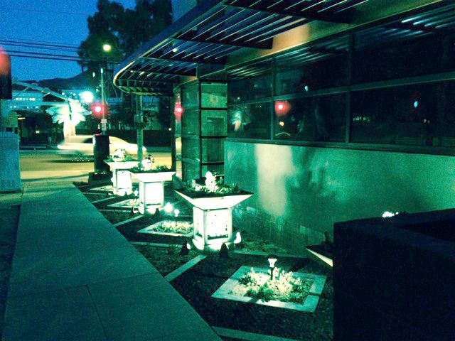 A row of planters are lit up at night in front of a building