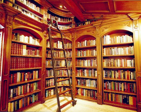 A library filled with lots of books and a ladder