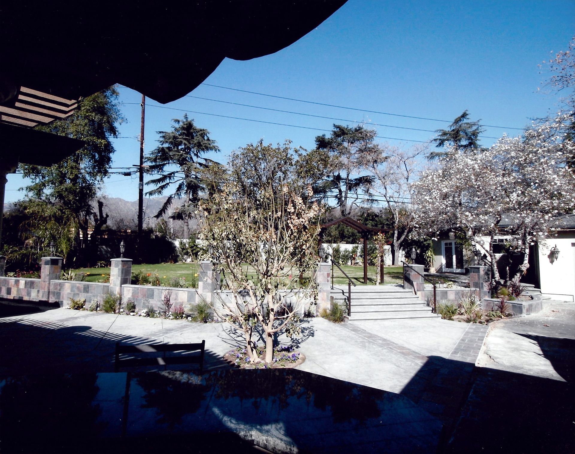 A view of a park with trees and a house in the background