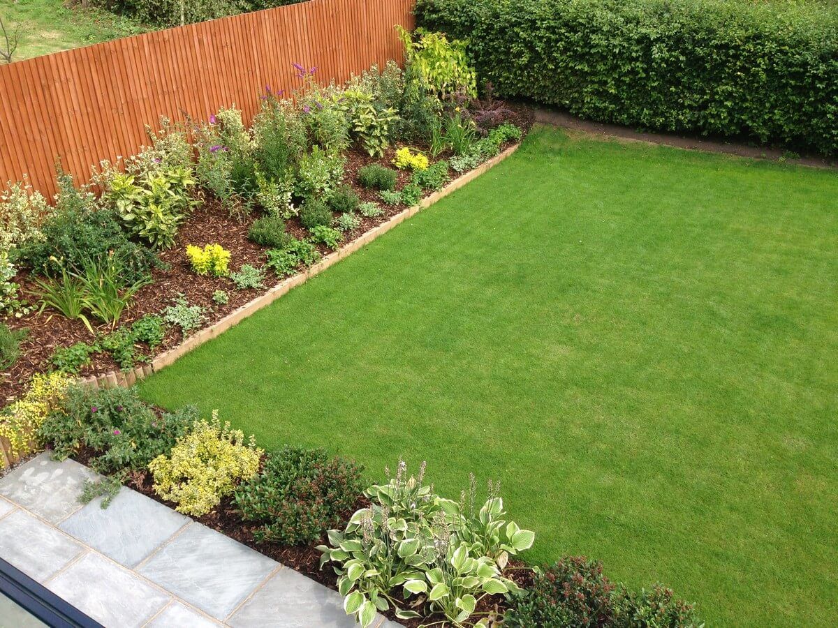 top side view of flowers in the garden