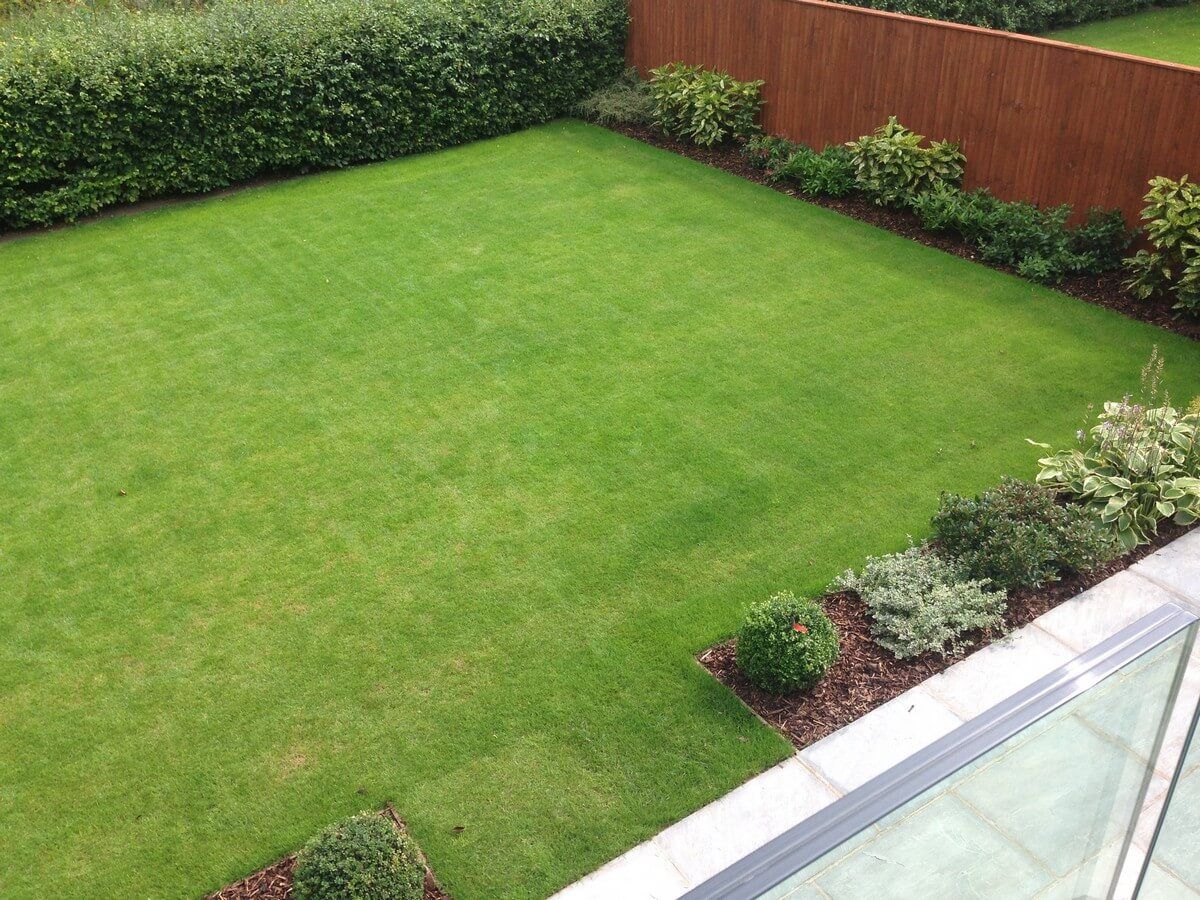 top side view of green grass garden