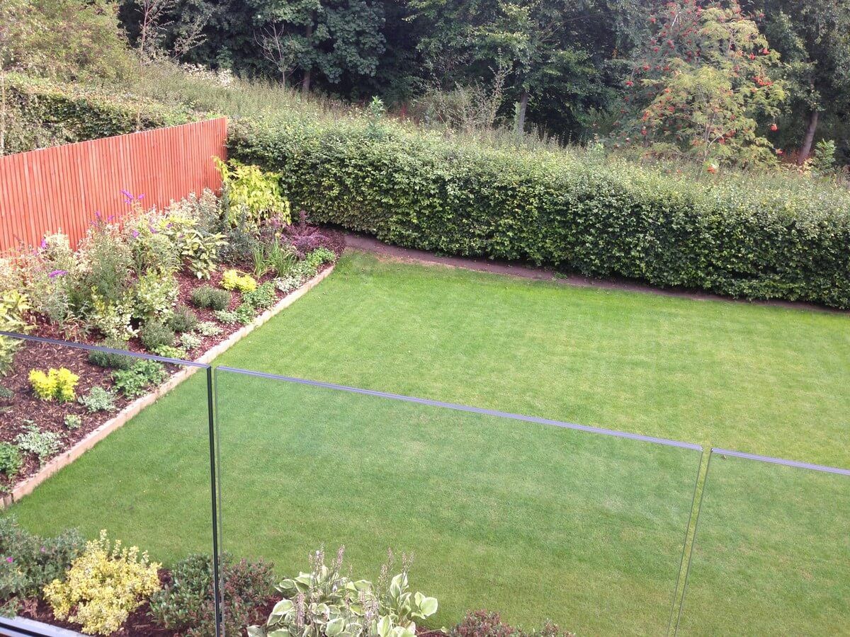 top view of backyard garden