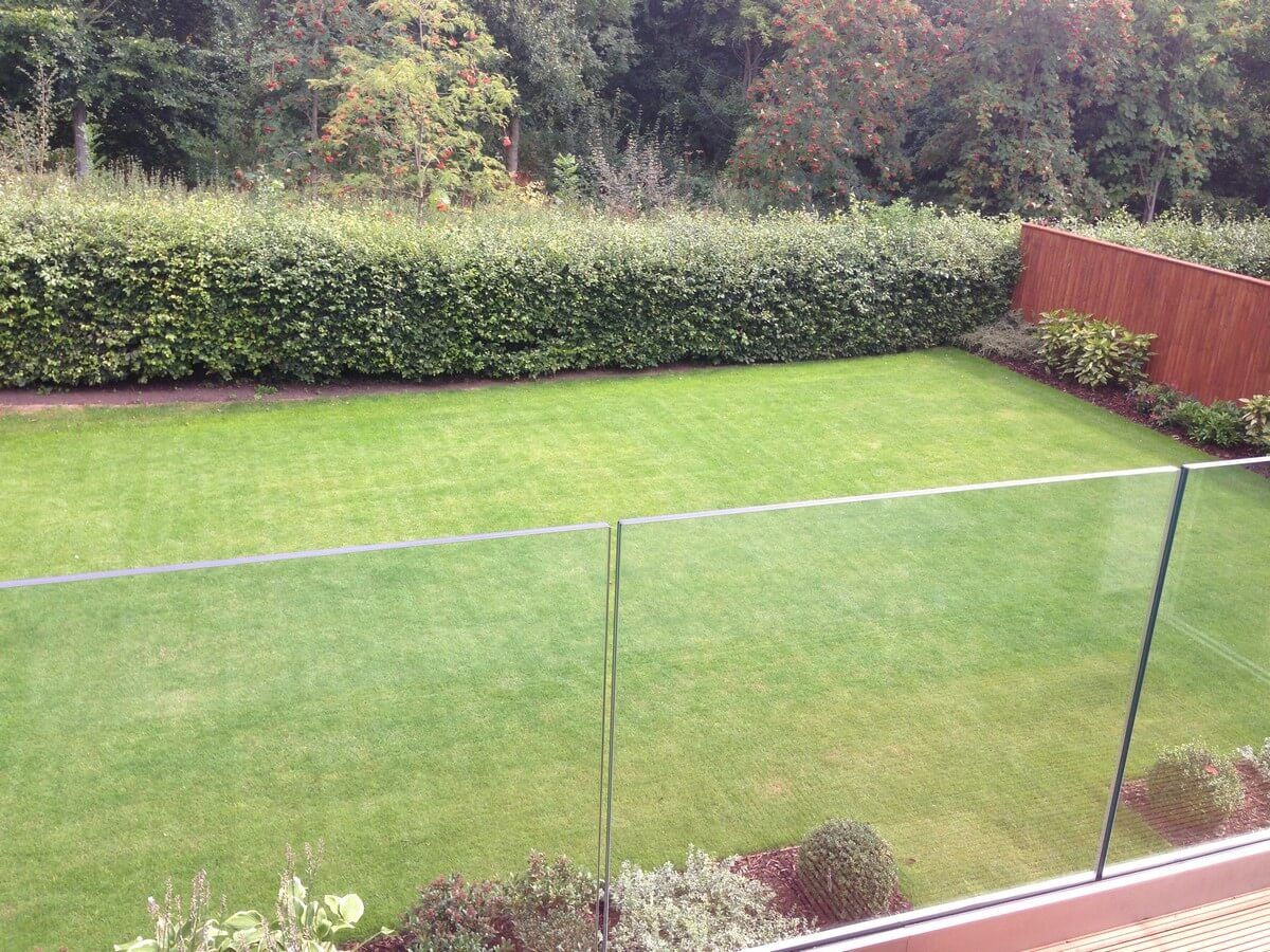 top view of green grass field