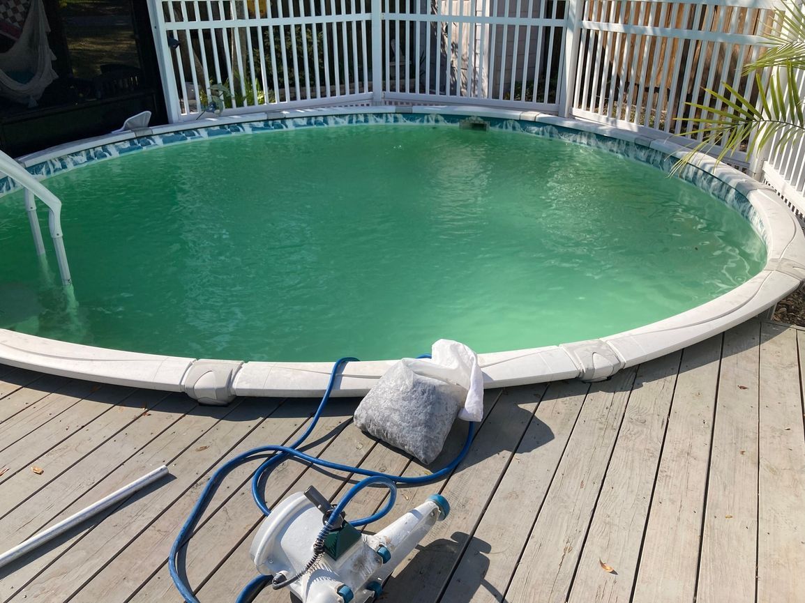 Green, algae-filled above-ground pool surrounded by wooden decking and a white fence. A pump and hose lie nearby.