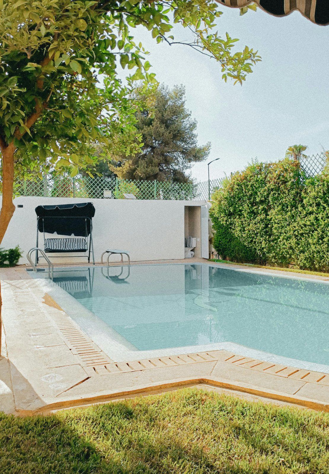 Pool with clear water, surrounded by green grass and trees. White wall and swing. Sunny day.