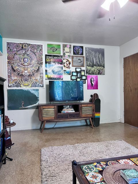 Living room with TV on vintage cabinet, art gallery wall, rug, and skateboard.