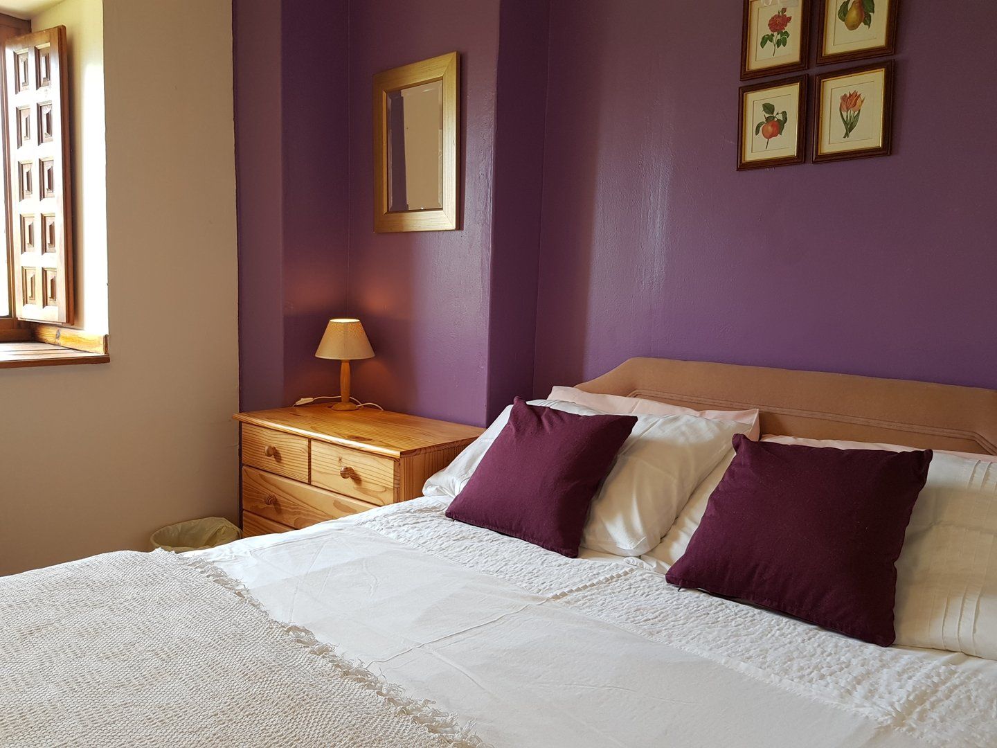 slaapkamer met paarse muur en paarse kussens op het bed