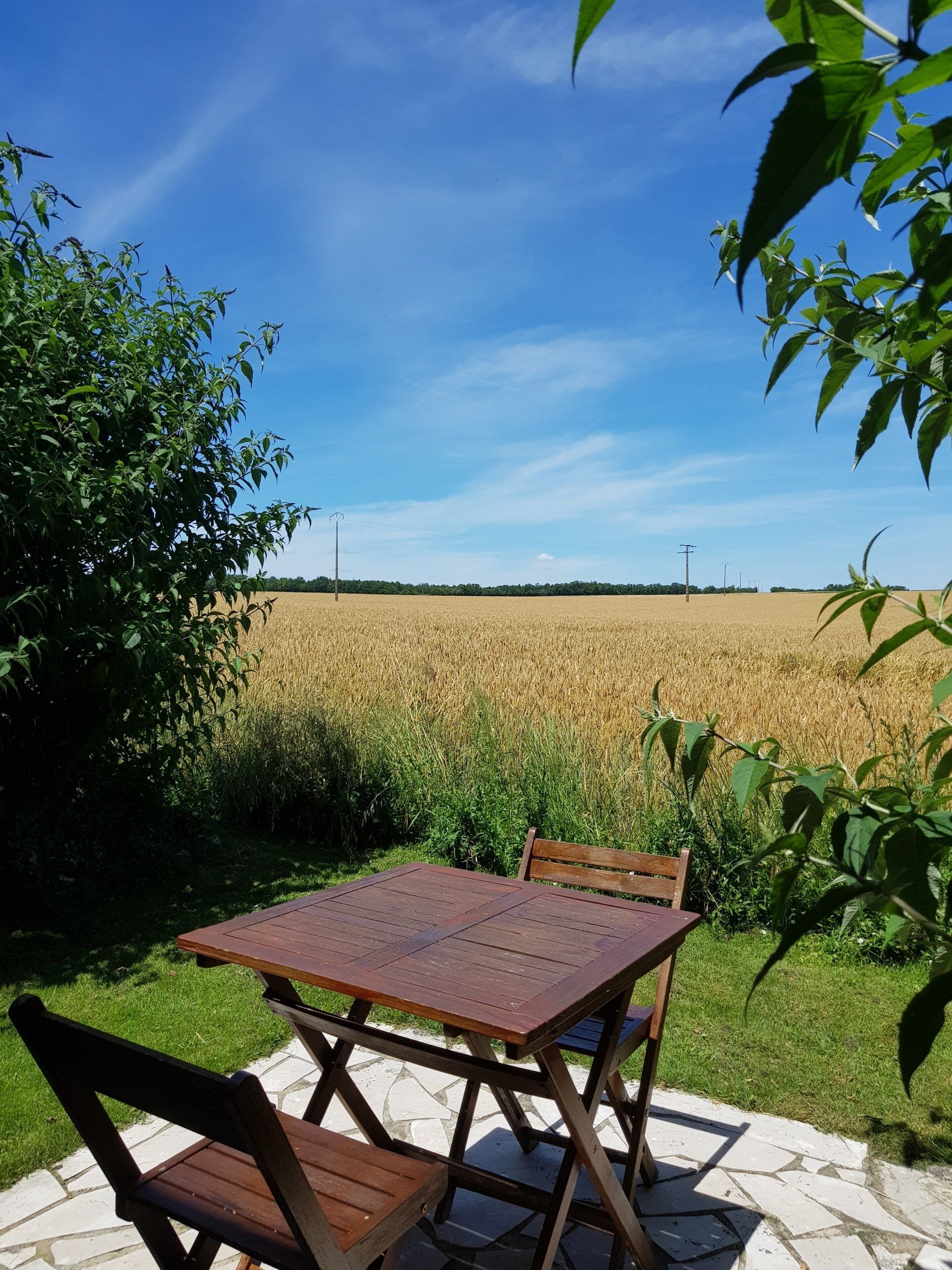 wooden table in a garden with view over a wheat field