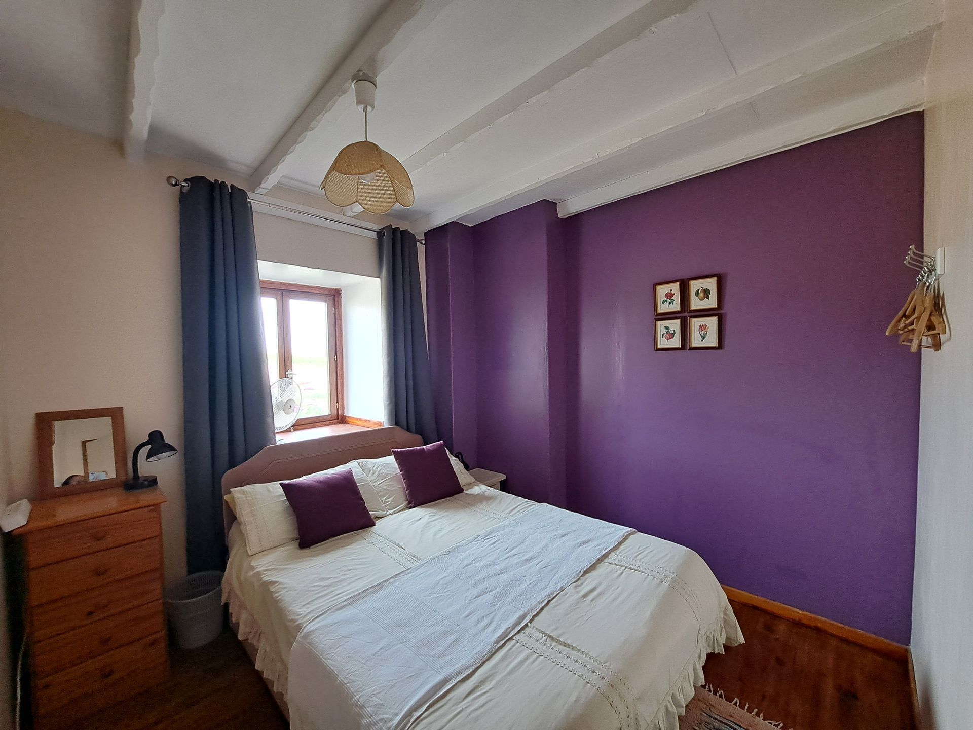 double bed with purple cushions in a room with a purple wall