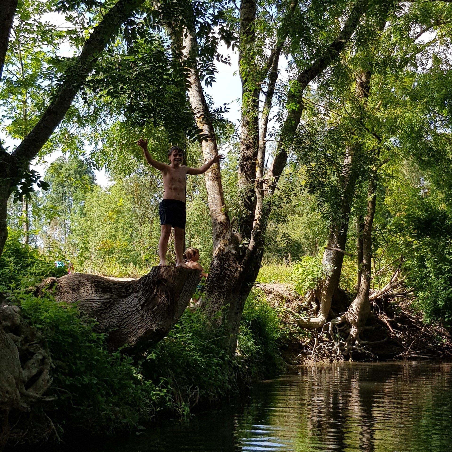 boy about to jump into river from tree stump