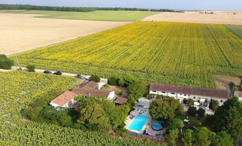 aerial view of holiday cottages in France with a pool and large sunflower field to the rear
