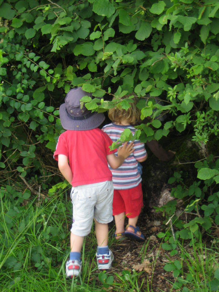 children looking into some bushes