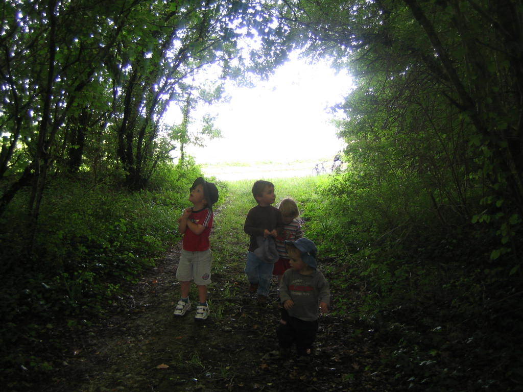 4 young children explore the woods